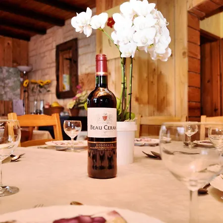 Chalet In With Sauna And Garden Alpehytte